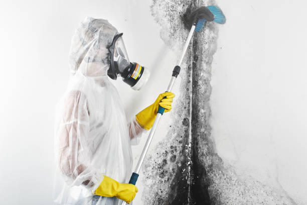 Best Indoor Air Quality Assessment  in Temple Hills, MD