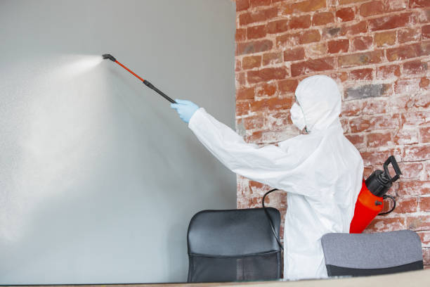 Best Mold Documentation for Insurance Claims  in Temple Hills, MD