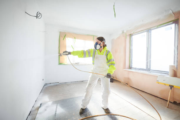 Best Environmental Consulting for Mold Prevention  in Temple Hills, MD