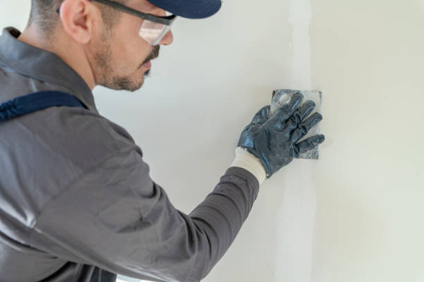 Best Mold Odor Removal Services  in Temple Hills, MD