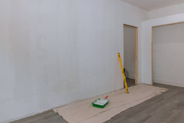 Best Emergency Mold Remediation  in Temple Hills, MD