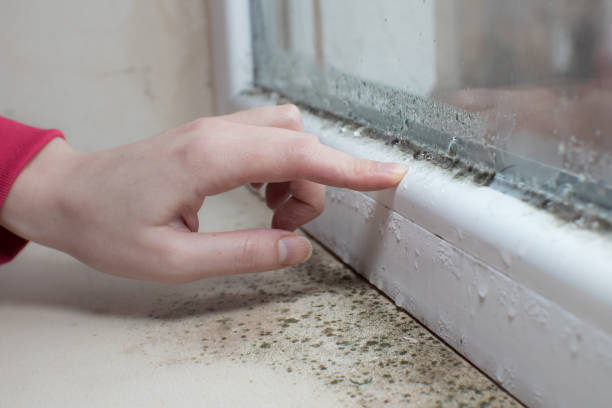 Best Post-Remediation Verification Testing  in Temple Hills, MD