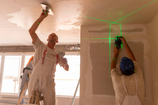 Best Asbestos and Lead Testing During Mold Inspection  in Temple Hills, MD
