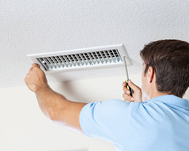 Best Commercial Mold Inspection  in Temple Hills, MD