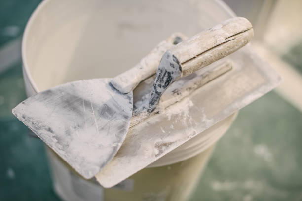 Mold Odor Removal Services in Temple Hills, MD