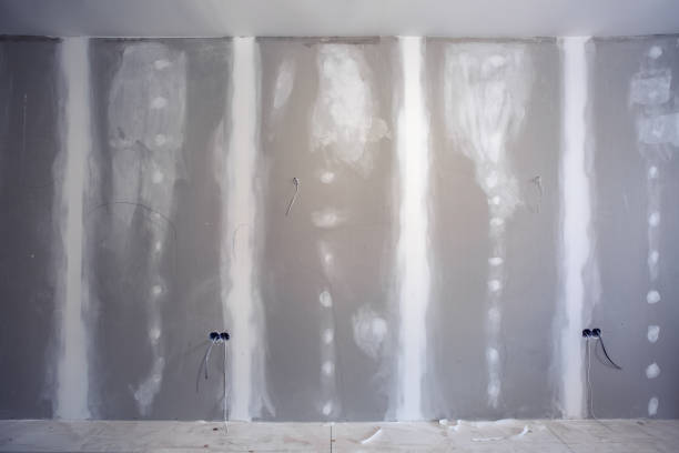 Best Mold Damage Restoration  in Temple Hills, MD